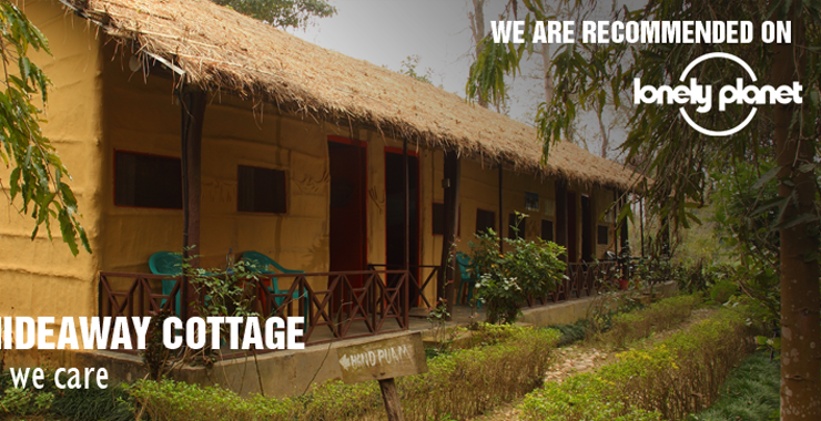 Forest Hideaway Bardia